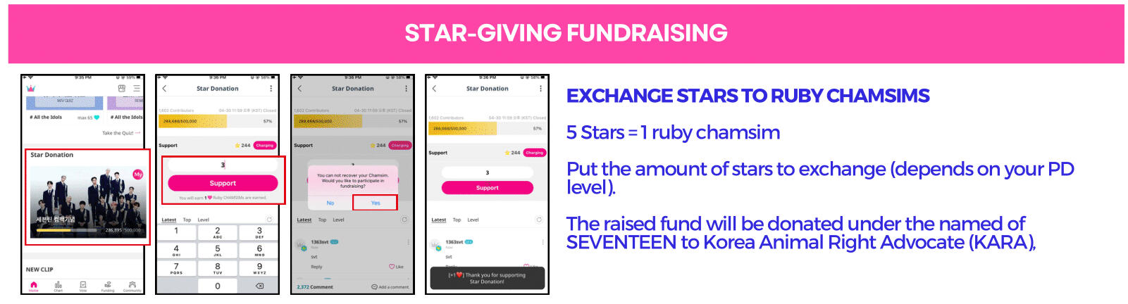 6. Exchange stars to ruby chamsims on 'Donation page'